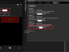 How to Get the IP Address of the Windows Phone 8 Programatically using C# ?