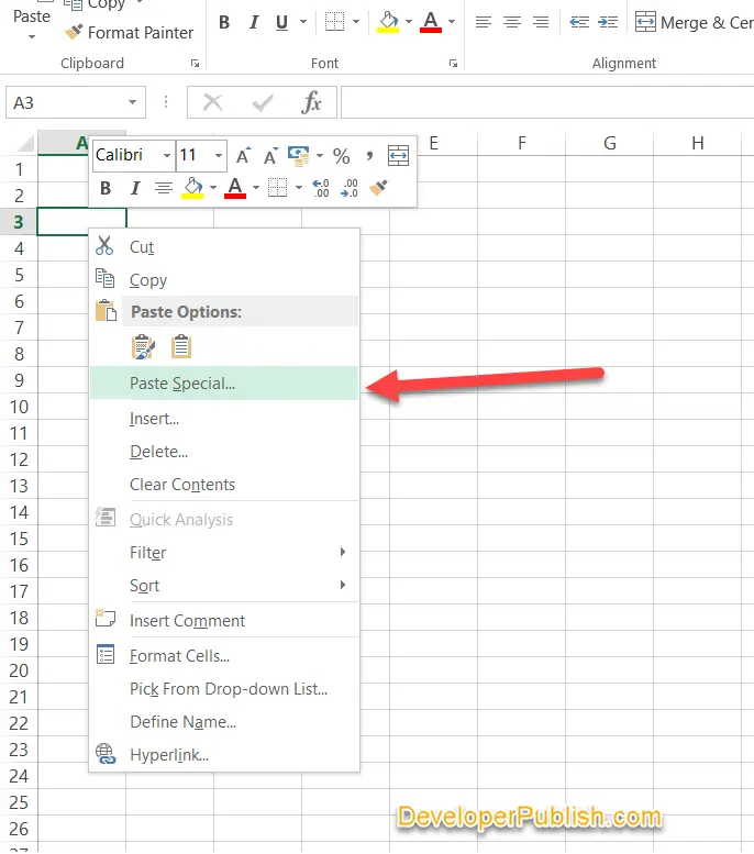 paste special in excel