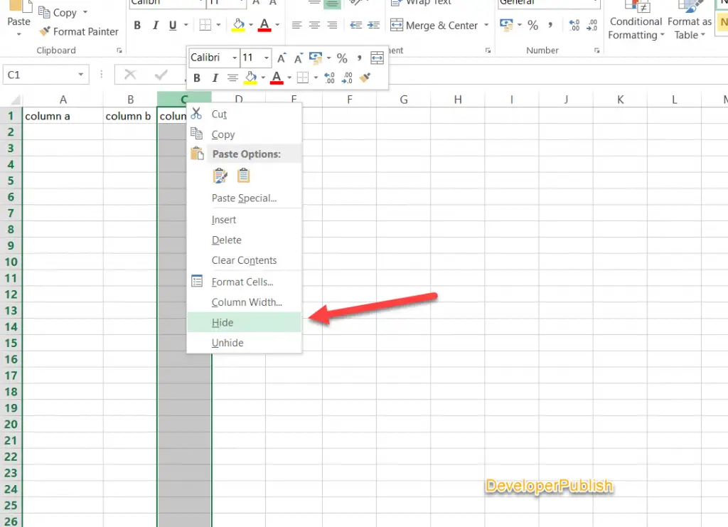 How to Hide Columns or Rows in Excel ?