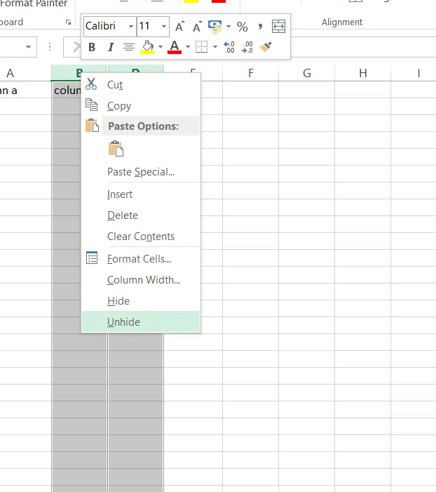 How to Hide Columns or Rows in Excel ?