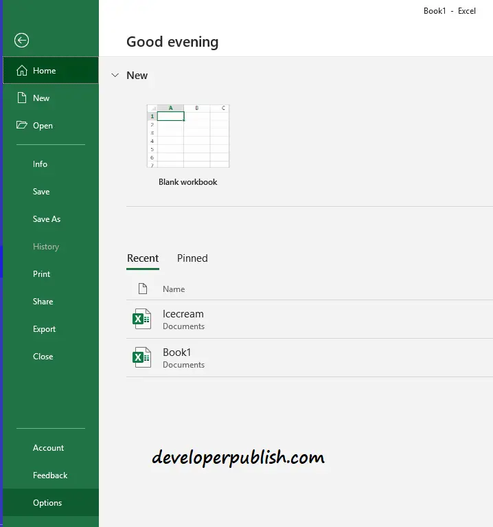 Developer tab in Microsoft Excel