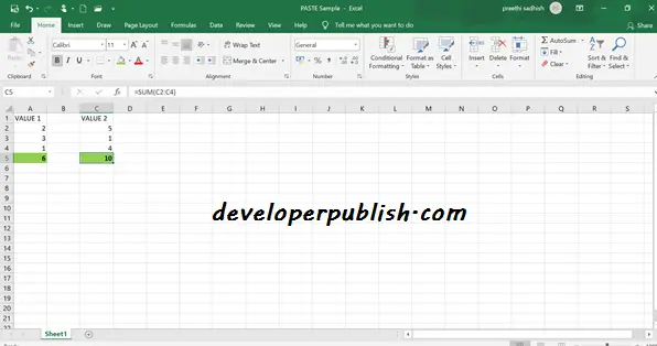 PASTE OPTIONS IN MS EXCEL