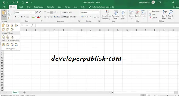 PASTE OPTIONS IN MS EXCEL