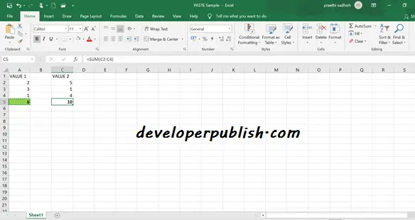 PASTE OPTIONS IN MS EXCEL