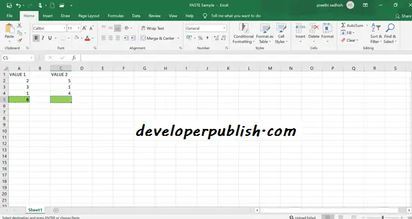 PASTE OPTIONS IN MS EXCEL