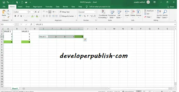 PASTE OPTIONS IN MS EXCEL