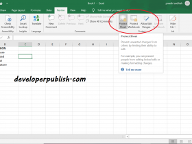 Protect Sheet in Microsoft Excel