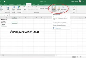 Protect Sheet in Microsoft Excel