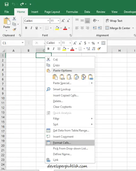 Format Cells in Microsoft Excel | Microsoft Excel Tutorials