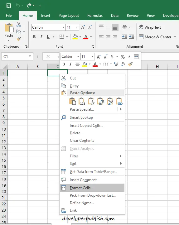 Format Cells in Microsoft Excel