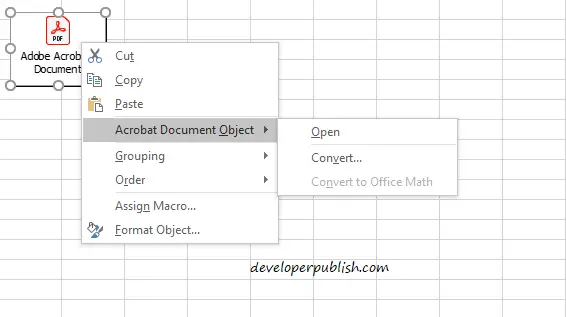 How to Embed a PDF File in an Excel Worksheet?