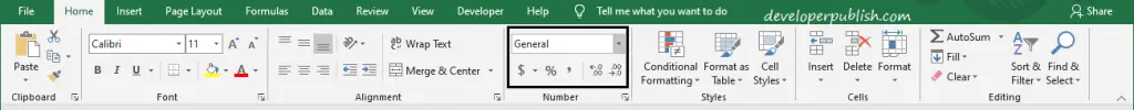 Numbers to Text Formatting in Excel