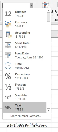 Numbers to Text Formatting in Excel