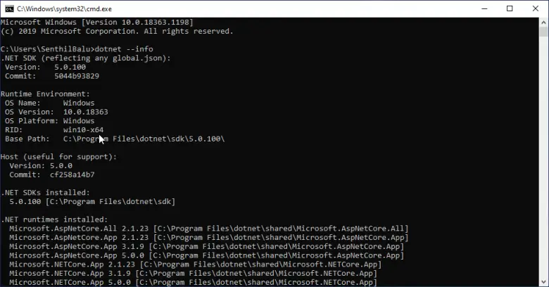 windows check if .net core is installed