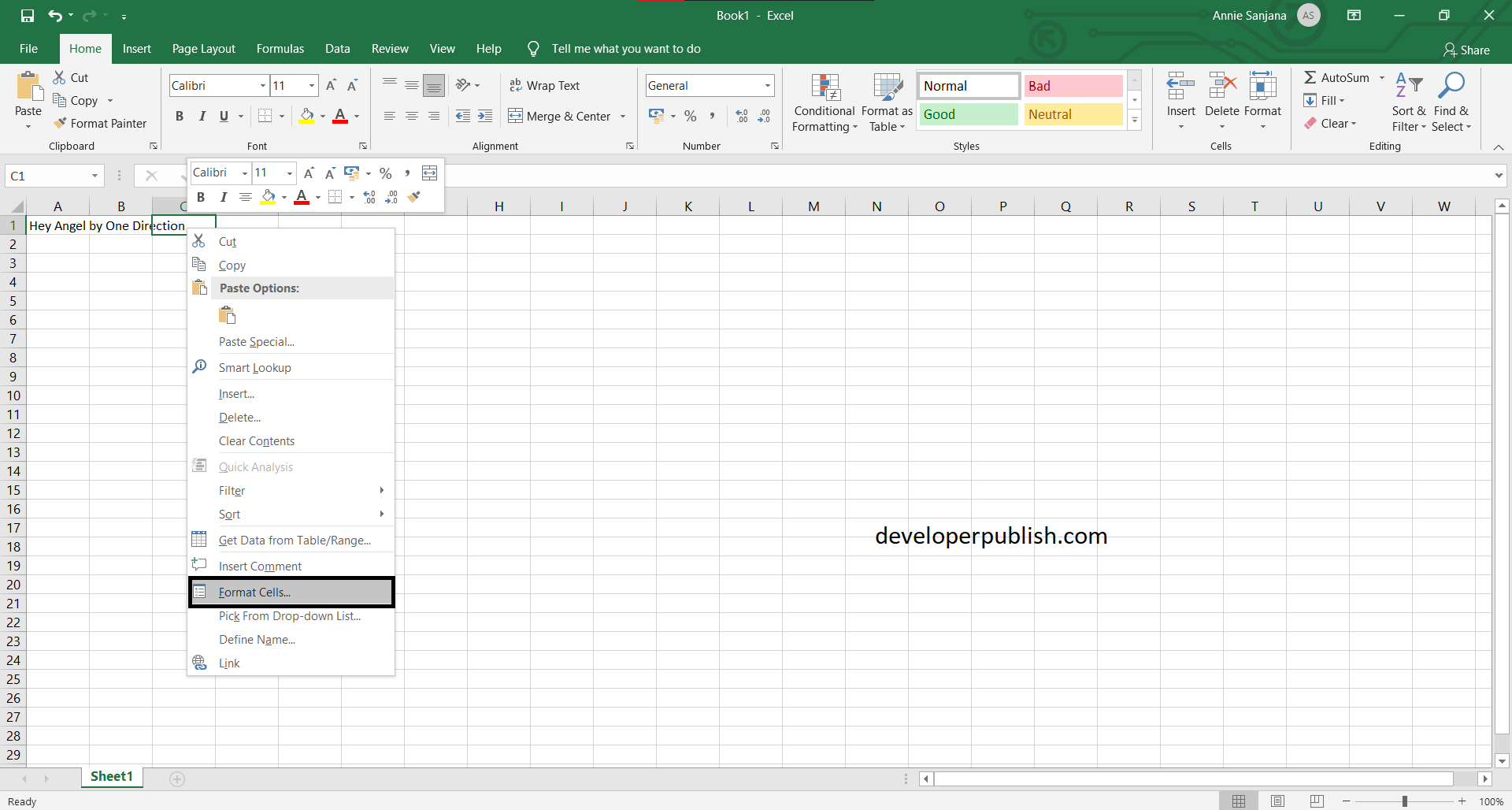 How To Enter In A Single Cell In Excel