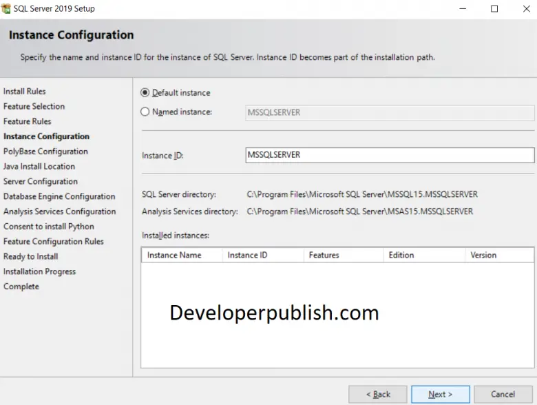 Download & Installing SQL SERVER 2019 Developer Edition for free