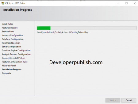 Download & Installing SQL SERVER 2019 Developer Edition for free