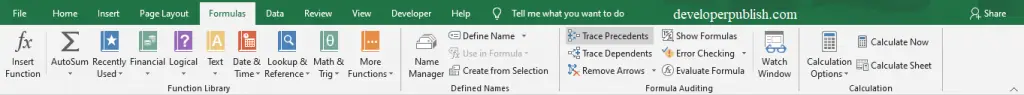 How to Use Formula Auditing in Excel?  Microsoft Excel