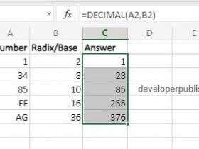 DECIMAL Function in Excel