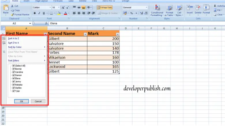 How to use Filters In Microsoft Excel? - Developer Publish