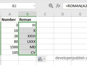 ROMAN Function in Excel In this post you will learn about a simple Excel function - ROMAN Function, how to use it in - with the excel spreadsheets. What are the Arabic Numbers and the Roman Numbers? The Arabic numbers are the ten digits 0,1,2,3,4,5,6,7,8 and 9 Together they form the present Decimal system Roman numbers are certain symbols used in the system of numerical notation. They are based on the ancient Roman system Syntax =ROMAN(number, form) The syntax has two arguments number - This holds the number to be converted form - This hold what type of Roman number you want (optional) Working of the ROMAN Function in Excel The function returns the respective Roman numerals from the given numbers. This ROMAN Function is the opposite to the ARABIC Function. The form argument specifies what type of Roman number that you want, that is classic, simplified, etc. To start, enter the numbers in the excel sheet and in a new cell enter the syntax and highlight the cell to include it in the syntax. ROMAN Function in Excel Press enter to display the answer and use the fill handle to apply the function on the rest of the data. ROMAN Function in Excel