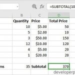 SUBTOTAL Function in Excel
