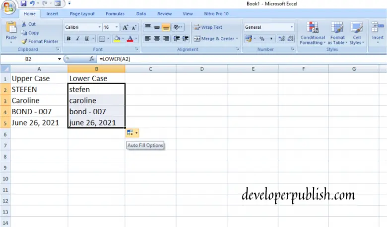 How to use LOWER function in Excel? - Developer Publish