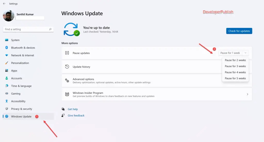 How to Pause Updates in Windows 11?