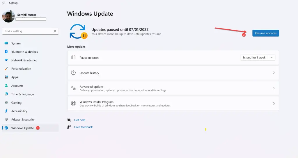 How to Resume Updates in Windows 11?