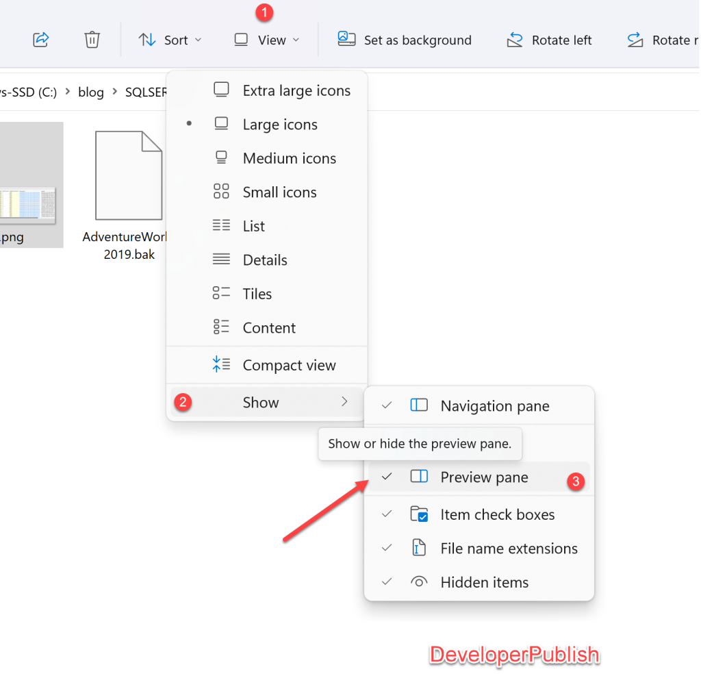 How to Show or Hide Preview Pane in Windows 11 File Explorer?
