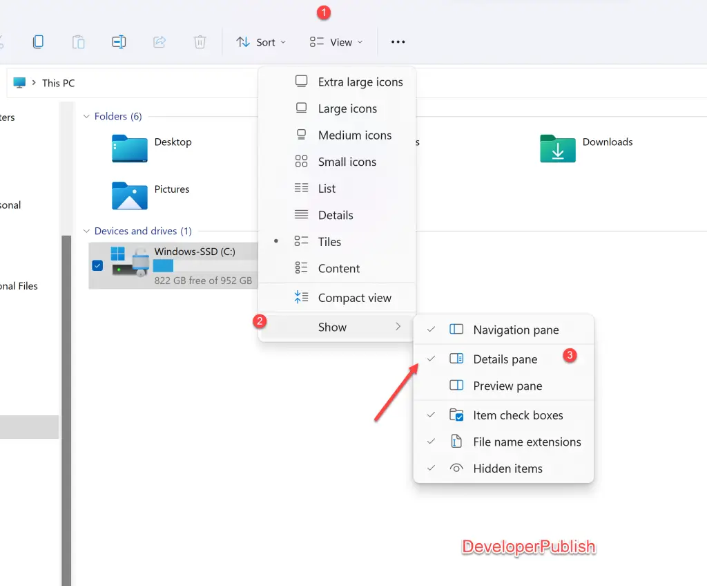 How to show of hide Details Pane in Windows 11 File Explorer?