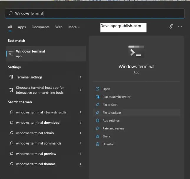 Different Ways to Open Windows Terminal in Windows 11