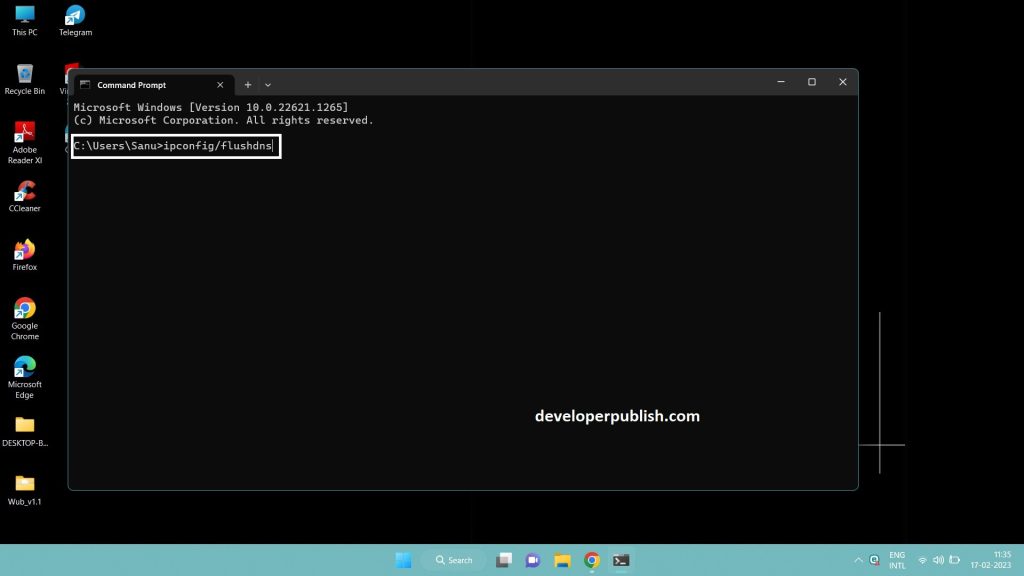 How to Flush &Reset the DNS Cache in Windows 11?