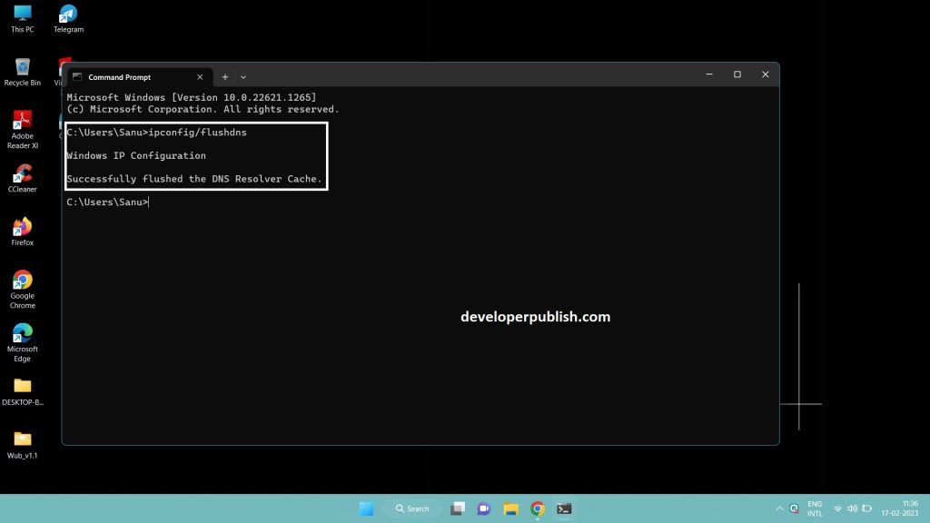 How to Flush &Reset the DNS Cache in Windows 11?